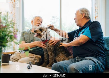 Des hommes âgés parlent tout en faisant un chien assis sur le canapé maison de retraite Banque D'Images