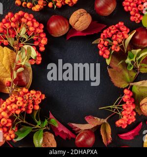 Design d'arrière-plan d'automne carré avec châtaignes et feuilles d'automne, tiré du haut avec un endroit pour le texte Banque D'Images