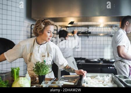 Une femme chef cuisant des aliments dans la cuisine contre des collègues au restaurant Banque D'Images