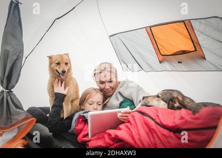 Mère et fille regardant une tablette numérique en étant couché avec des animaux en tente au camping Banque D'Images