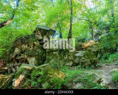 Immenses pierres couvertes de mousse dans une forêt feuillue parmi arbres et fougères Banque D'Images