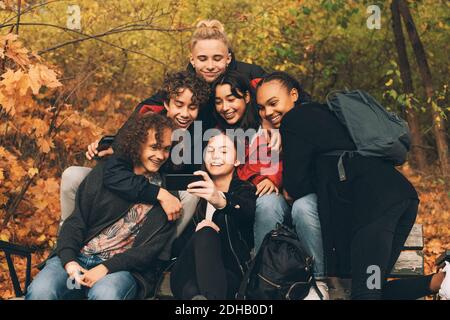 Adolescente prenant le selfie avec des amis tout en étant assis sur le banc contre les arbres en automne