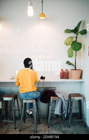 Vue arrière sur toute la longueur d'une femme blogueuse assise sur un tabouret au café Banque D'Images