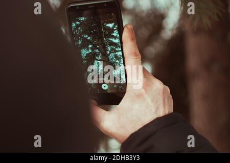 un homme prend une vidéo sur un téléphone en hiver dans un jardin botanique. Un smartphone à mains masculines prend des photos d'un écureuil qui s'élève sur le sapin. Banque D'Images