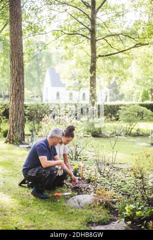 Une longueur complète d'instructeur et une jeune femme stagiaire se croquant plantation dans le jardin Banque D'Images