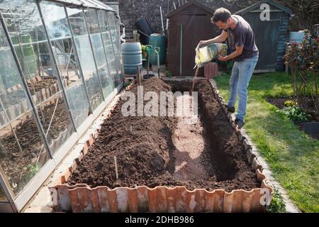 Plantation d'asperges. Une série d'images illustrant les étapes de la création d'un lit d'asperges sur une allotissement à Bristol. ROYAUME-UNI. Étape 2. Ajoutez-en Banque D'Images