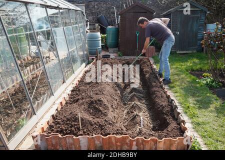 Plantation d'asperges. Une série d'images illustrant les étapes de la création d'un lit d'asperges sur une allotissement à Bristol. ROYAUME-UNI. Étape 5. Banque D'Images