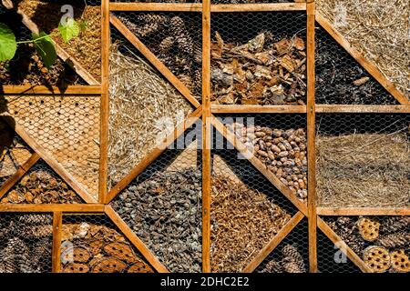 Insecte Hôtel avec des compartiments comme abri pour les animaux à améliorer Biodiversité Banque D'Images