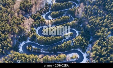 route courbée à travers la forêt. Passez en Transylvanie, Roumanie. Banque D'Images