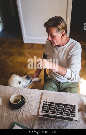 Vue en grand angle de l'homme qui joue avec son chien pendant que travailler sur un ordinateur portable à domicile Banque D'Images