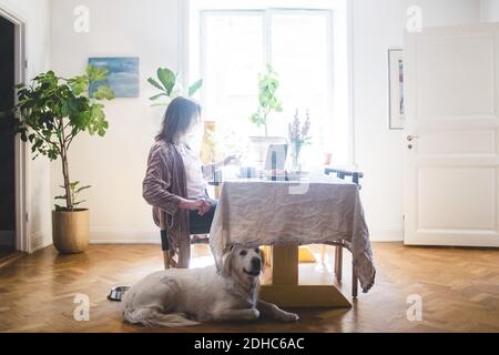 Chien assis par une femme prenant le petit déjeuner à table pendant le travail de chez vous Banque D'Images