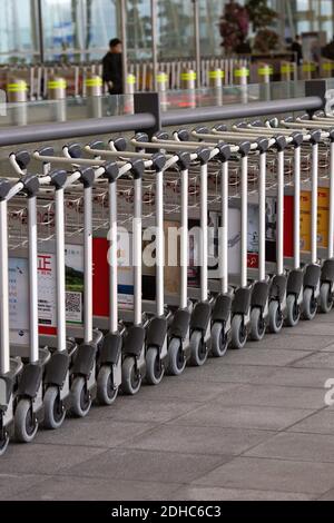 Rangées de chariots à bagages Banque D'Images