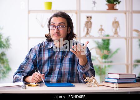 Jeune enseignant paléontologue dans la salle de classe Banque D'Images