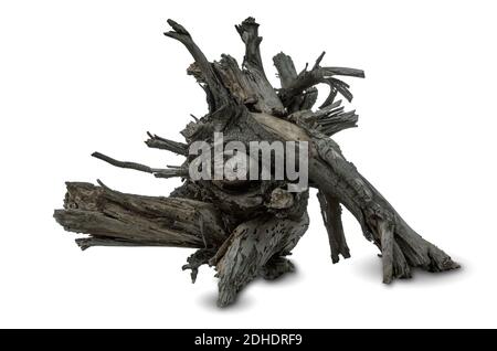 Bois de Driftwood sur fond blanc Banque D'Images