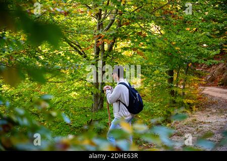 Vue latérale d'un routard randonneur dans la forêt verte Banque D'Images
