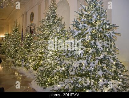 Les décorations de Noël de la Maison Blanche 2017, avec le thème « traditions ancestrales », qui ont été sélectionnées personnellement par la première dame Melania Trump, sont prévisualisées pour la presse à Washington, DC, le lundi 27 novembre 2017. Ce sont des arbres de Noël dans le Cross Hall. Photo de Ron Sachs / CNP/ABACAPRESS.COM Banque D'Images