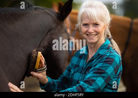 Une femme aux cheveux gris portant des brosses en flanelle et animaux de compagnie son cheval. Jackson Comté, Indiana, Banque D'Images