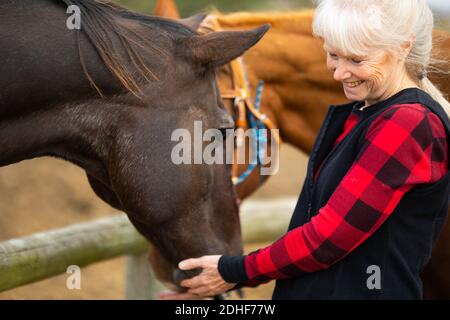 Une femme aux cheveux gris portant des brosses en flanelle et animaux de compagnie son cheval. Jackson Comté, Indiana, Banque D'Images