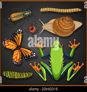 Ensemble d'insectes différents sur l'illustration d'arrière-plan noir Illustration de Vecteur