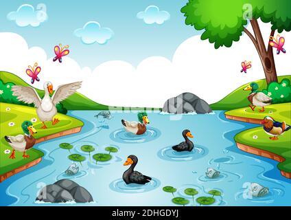 Groupe de volaille dans la rivière dans la nature illustration de scène Illustration de Vecteur