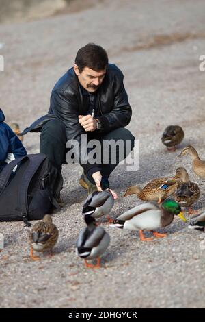 Titisee-Neustadt, Allemagne - 10 30 2012: Famille avec un jeune garçon nourrissant des canards sur le lac Titisee lors d'une belle journée d'automne froide et ensoleillée Banque D'Images