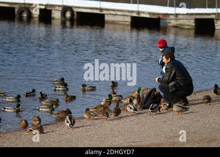 Titisee-Neustadt, Allemagne - 10 30 2012: Famille avec un jeune garçon nourrissant des canards sur le lac Titisee lors d'une belle journée d'automne froide et ensoleillée Banque D'Images