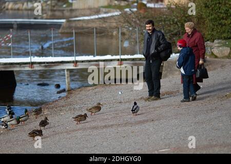 Titisee-Neustadt, Allemagne - 10 30 2012: Famille avec un jeune garçon nourrissant des canards sur le lac Titisee lors d'une belle journée d'automne froide et ensoleillée Banque D'Images