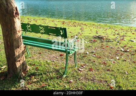 Banc vide côté lac sous le Big Tree Banque D'Images