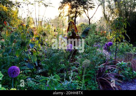 allium pourpre sensation,Allium Globemaster,Ensete ventricosum Maurelii,violettes alliums,banane noire éthiopienne,astrantia bo ann,mix,mixte,ornementale oni Banque D'Images