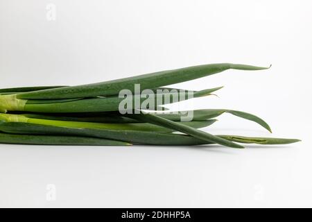 Oignons verts frais sur fond blanc Banque D'Images