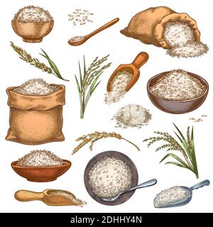 Sacs de riz et céréales. Sacs, bols et pelles rétro avec grains. Épis et tas de graines. Ensemble de vecteurs d'aliments biologiques de ferme gravés en couleurs Illustration de Vecteur