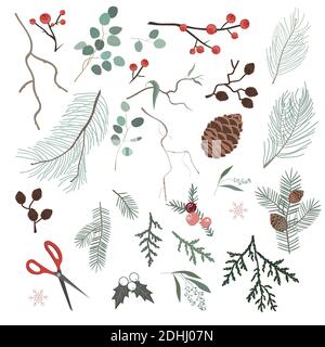 Éléments de Noël botaniques pour la confection de couronnes de Noël ou d'autres décorations de maison. Brunchs d'hiver, fleurs, feuilles et pommes de pin isolés sur fond blanc Illustration de Vecteur