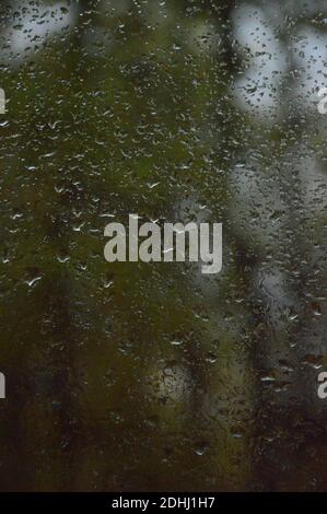 Un cliché vertical de pluie tombe sur une fenêtre en verre contre les arbres flous à l'extérieur Banque D'Images