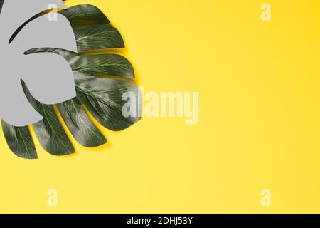 Magnifique papier artificiel et gris Monstera feuilles de palmier sur fond jaune vif comme éléments de décoration élégants et créatifs. Copier l'espace pour le texte. Banque D'Images