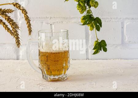 Tasse en verre de bière avec des oreilles d'orge et une branche de houblon sur fond blanc. Banque D'Images