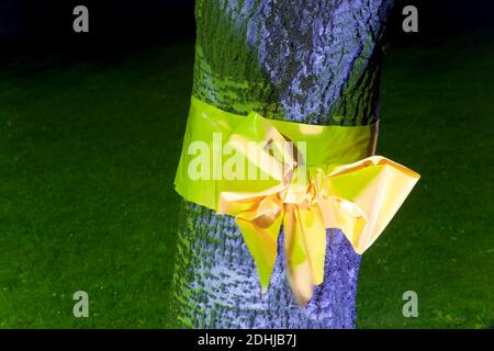 Ruban jaune avec arbre rond attaché, Düsseldorf, Allemagne Banque D'Images