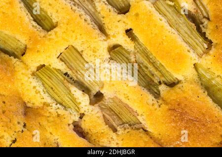 tarte à la rhubarbe d'en haut avec morceaux de rhubarbe - plein cadre Banque D'Images