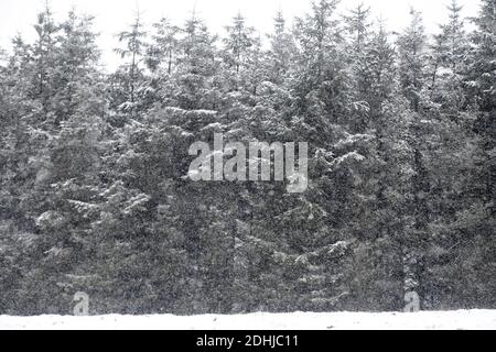 La photo est une scène neigeuse dans les Yorkshire Dales au-dessus de Hawes. Météo neige hiver neige neige neige neige neige neige Banque D'Images