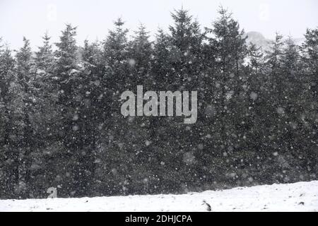 La photo est une scène neigeuse dans les Yorkshire Dales au-dessus de Hawes. Météo neige hiver neige neige neige neige neige neige Banque D'Images