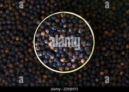 Fermez un bol rempli de poivre noir. Le poivre noir, roi des épices, est l’une des épices les plus couramment utilisées dans le monde. L’or noir Banque D'Images