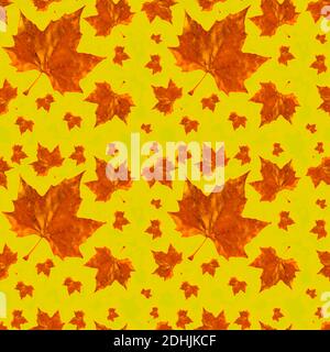 Motif rustique sans couture automnal avec de grandes feuilles d'automne aux couleurs vives et vives, idéal pour la papeterie et les tissus, sur un joli fond de citron Banque D'Images