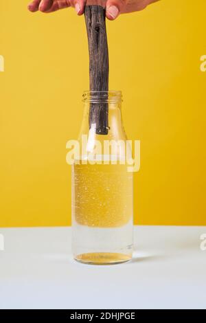 Main de personne non reconnaissable coupée avec un bâton de bois de santal bouteille en verre à l'essence huileuse biologique placée sur fond pastel en studio Banque D'Images