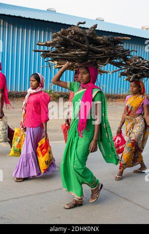 Femme indienne portant du bois sur la tête . Banque D'Images