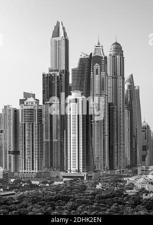 Les chameaux sur la plage de Jumeirah et de gratte-ciel dans le contexte à Dubaï, la ville de Dubaï, Emirats Arabes Unis Banque D'Images