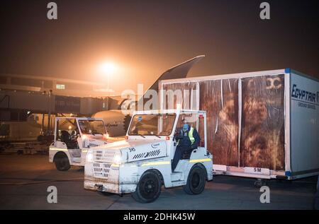 Le Caire, Égypte. 10 décembre 2020. Les membres du personnel transfèrent le premier lot de vaccins chinois contre le coronavirus par l'intermédiaire d'une camionnette à l'aéroport international du Caire, Égypte, le 10 décembre 2020. L'Egypte a reçu le premier lot de vaccin anti-coronavirus chinois jeudi en fin de journée pour lutter contre l'épidémie de COVID-19.TO GO 'l'Egypte reçoit le premier lot de vaccin anti-coronavirus chinois' Credit: Wu Huiwo/Xinhua/Alay Live News Banque D'Images