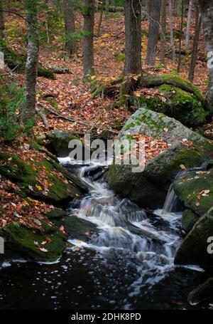 Un ruisseau coule au-dessus de rochers recouverts de mousse en automne en Nouvelle-Angleterre. Banque D'Images