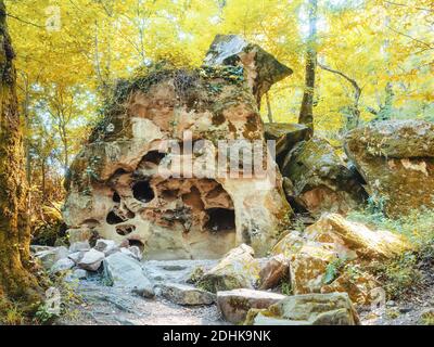 Une énorme pierre avec beaucoup de trous dans elle parmi les mousses et arbres à feuilles caduques Banque D'Images