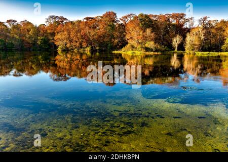 Edward ball Wakulla Springs State Park. Les sources d’eau douce les plus importantes et les plus profondes du monde. Le lagon noir. Banque D'Images