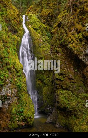 Pinnard Falls, forêt nationale d'Umpqua, Cascade Mountains, Oregon. Banque D'Images