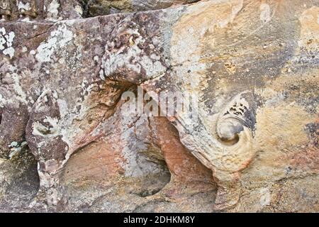 Des images sculptées à la main de Bouddha et d'autres décorations trouvées dans des formations rocheuses dans la zone isolée dans le temple ouvert de Bouddha. Banque D'Images